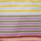 Gradient Stripe Multi